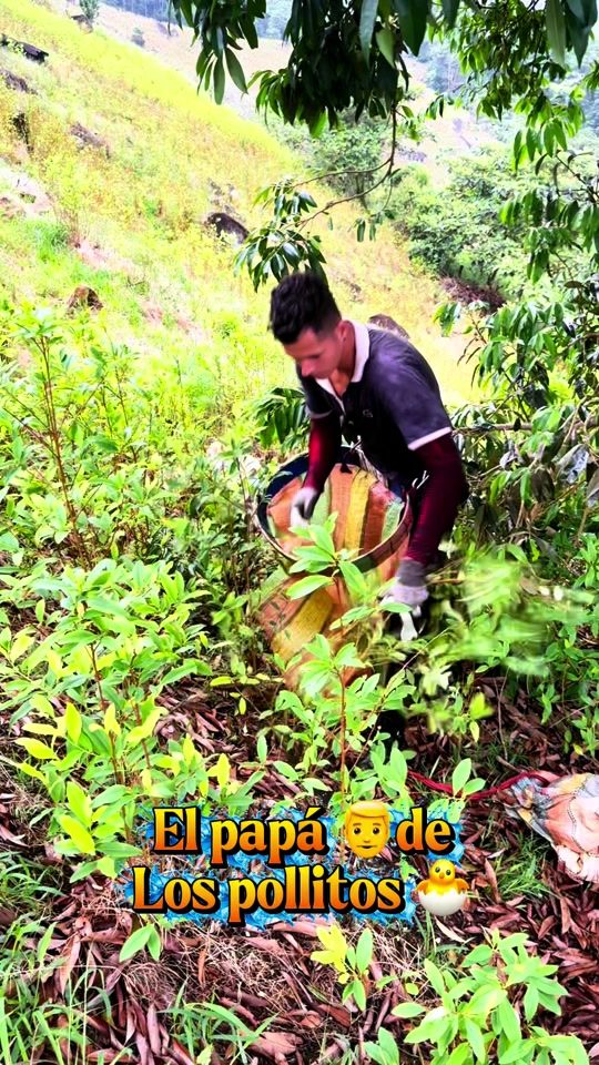 TikTok video thumbnail by el.cupido.mazorcon