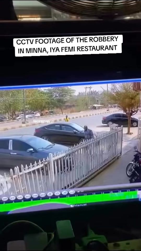 TikTok video thumbnail by nigerbreed