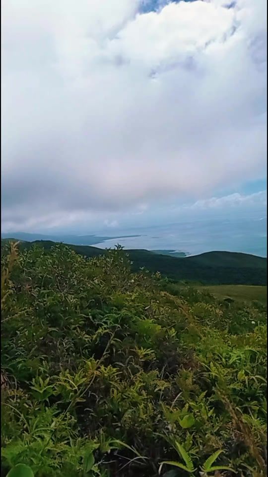 TikTok video thumbnail by blynrd