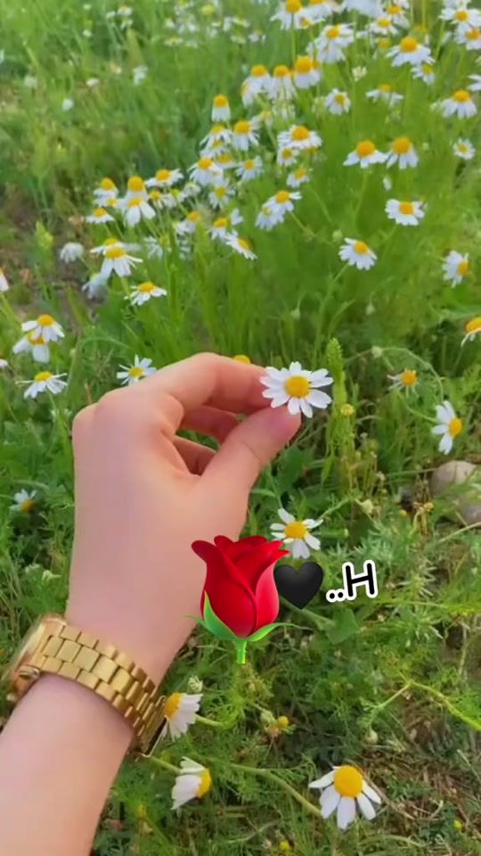TikTok video thumbnail by bahar.0o0