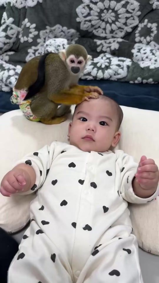TikTok video thumbnail by monkey.pipi