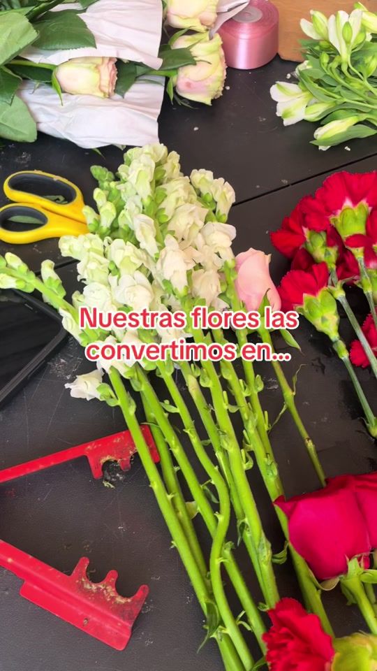 TikTok video thumbnail by alemar_29