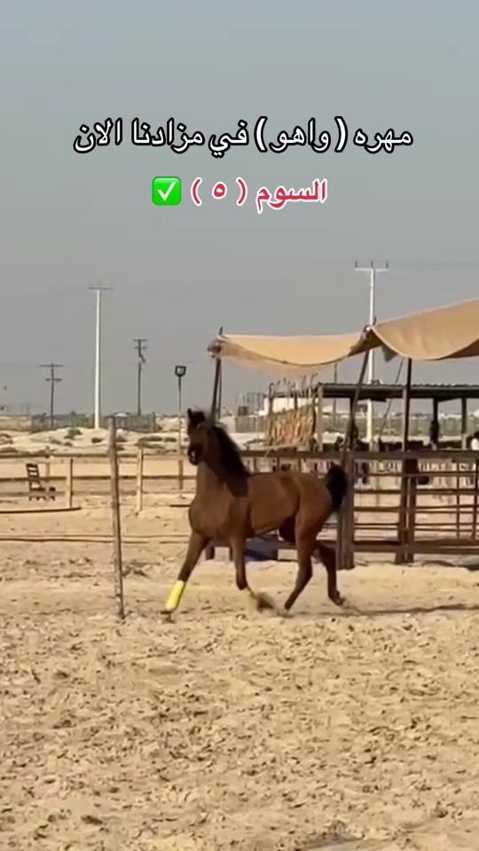 TikTok video thumbnail by a_bb1h