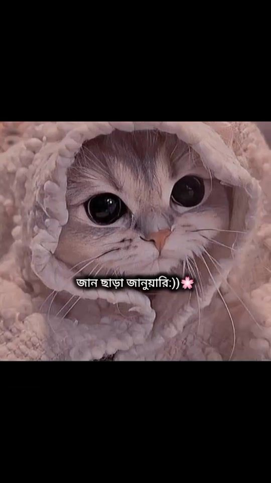 TikTok video thumbnail by ayesha_moni_077
