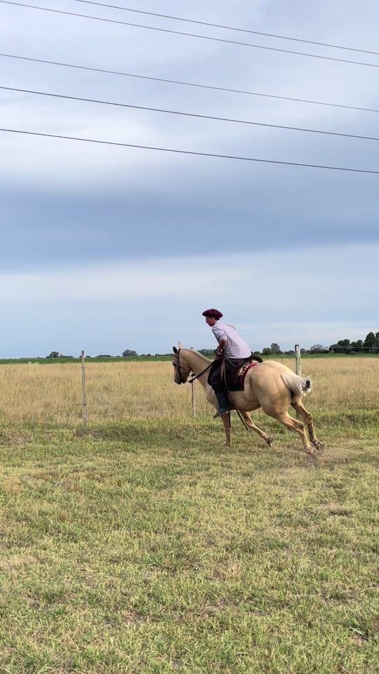 TikTok video thumbnail by martingarcia314