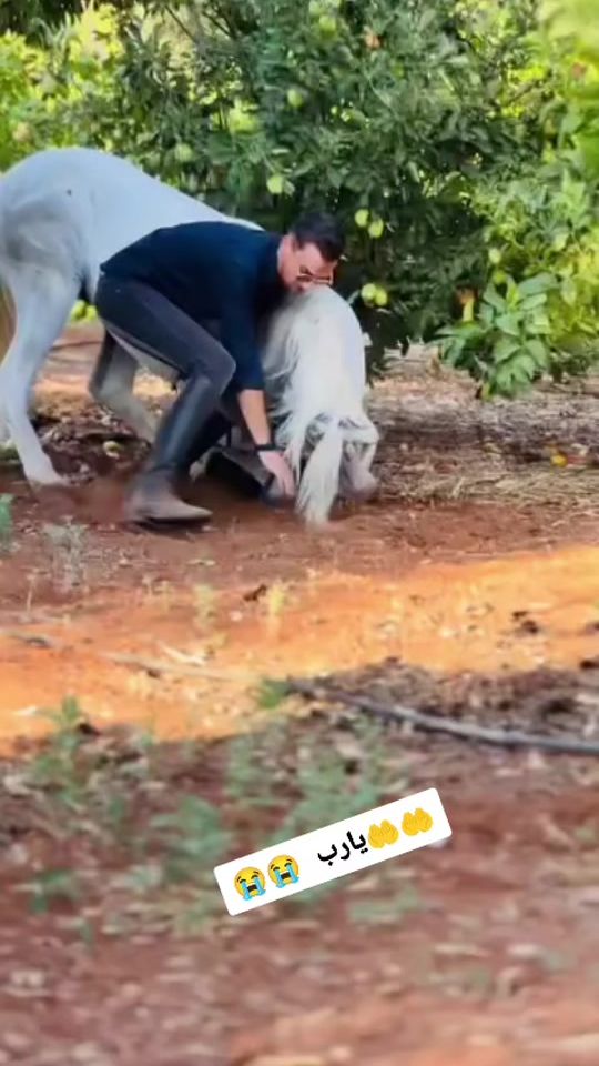 TikTok video thumbnail by zyu__05