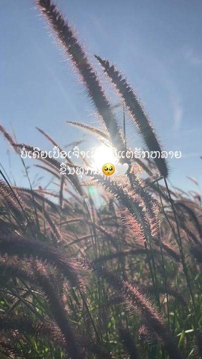 TikTok video thumbnail by aiy.supa
