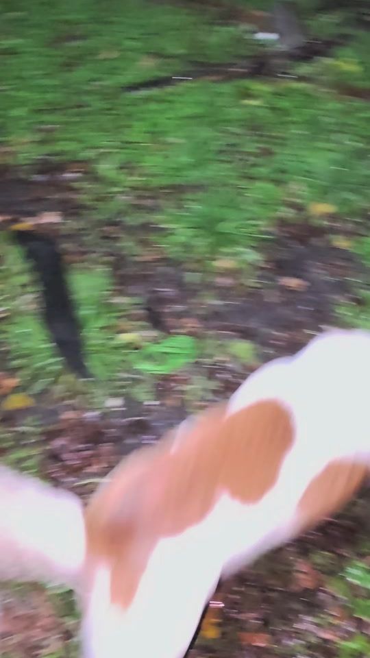 TikTok video thumbnail by marceloparedex