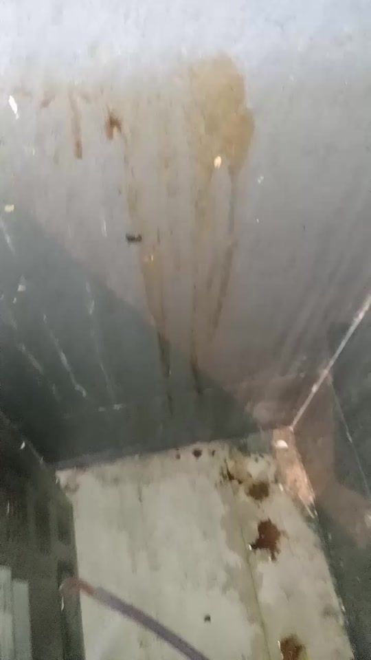 TikTok video thumbnail by maestranzahogar