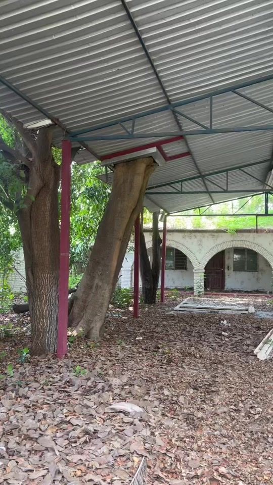 TikTok video thumbnail by tintashford