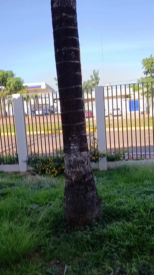 TikTok video thumbnail by rogerio27.com.br