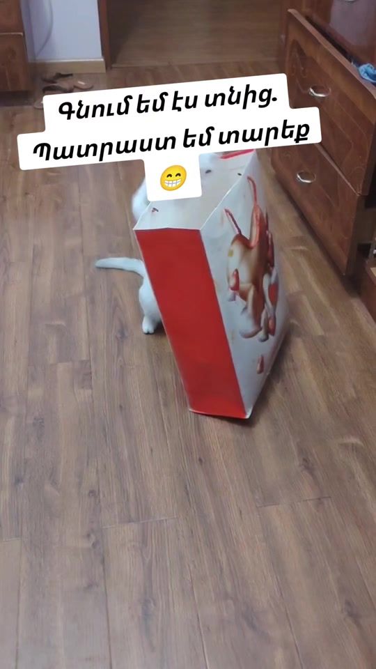 TikTok video thumbnail by belka.2025