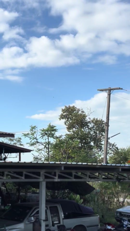TikTok video thumbnail by user55229528
