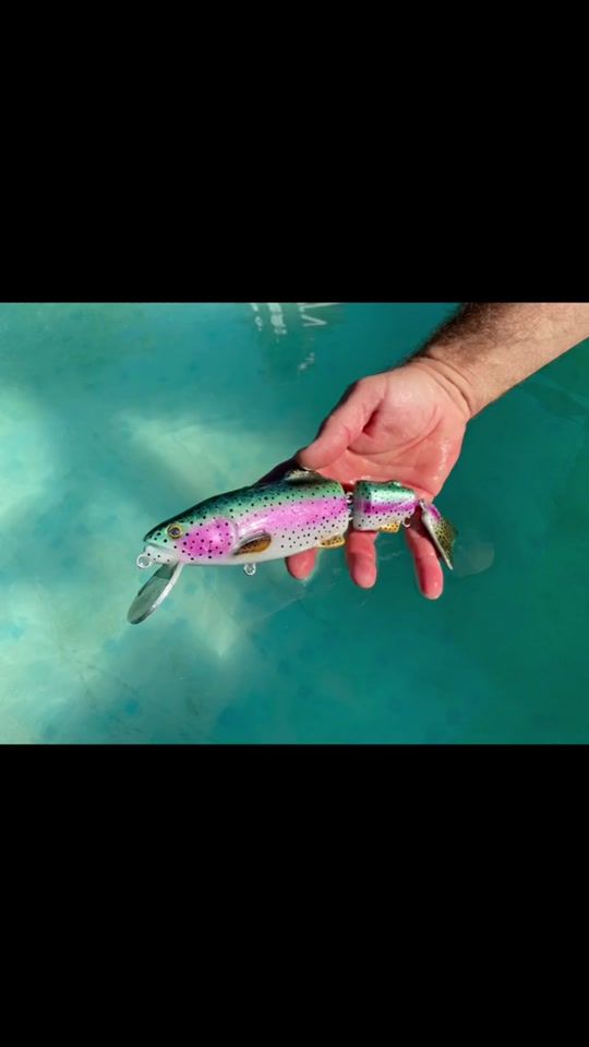 TikTok video thumbnail by megalures