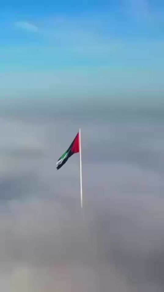 TikTok video thumbnail by sqoor_almqabil