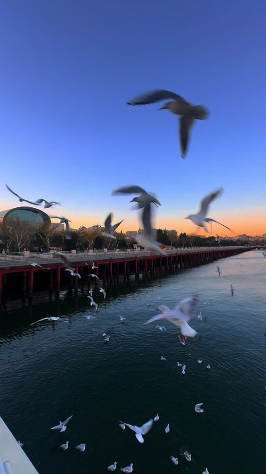 TikTok video thumbnail by ___.musicislife.___