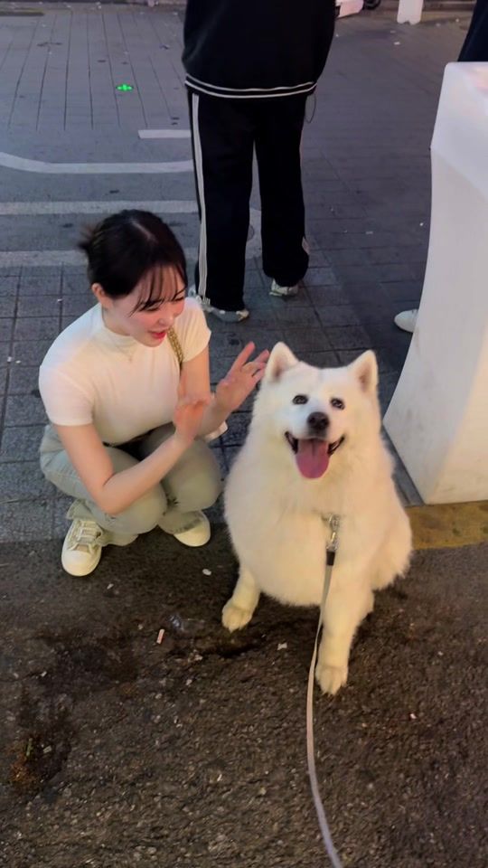 TikTok video thumbnail by y_ennni