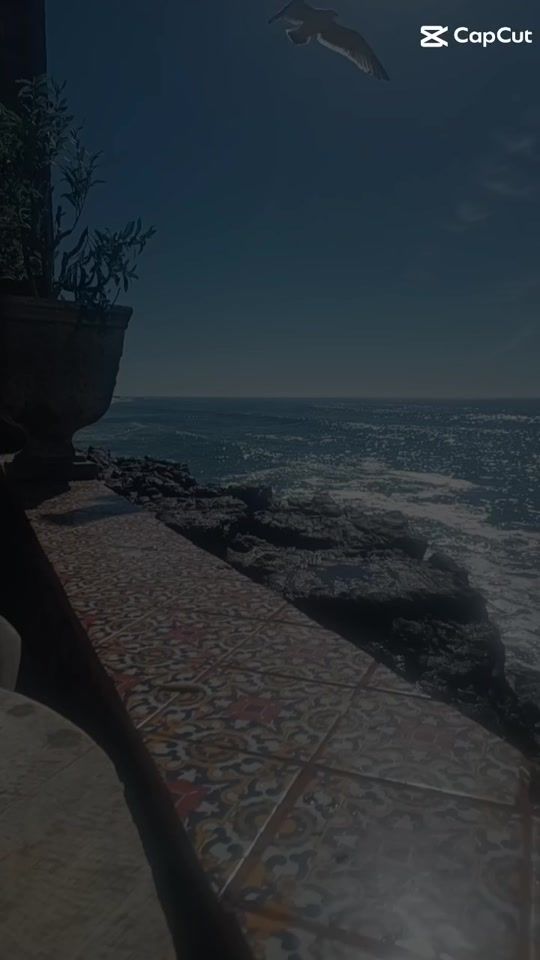 TikTok video thumbnail by marthadelrefugio21