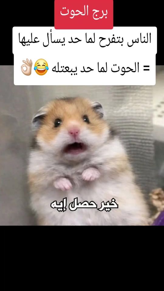 TikTok video thumbnail by aljuidiaat