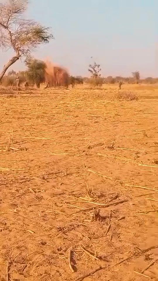 TikTok video thumbnail by ogah227i