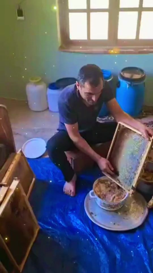 TikTok video thumbnail by refailuser