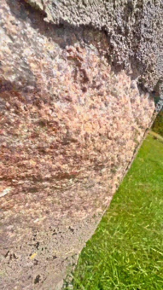 TikTok video thumbnail by into_madagascar