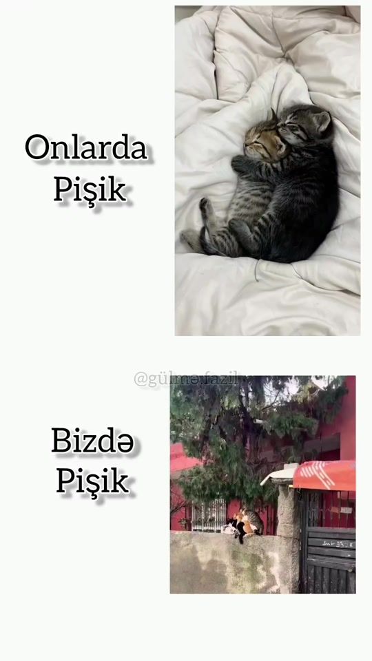 TikTok video thumbnail by dumbi_s