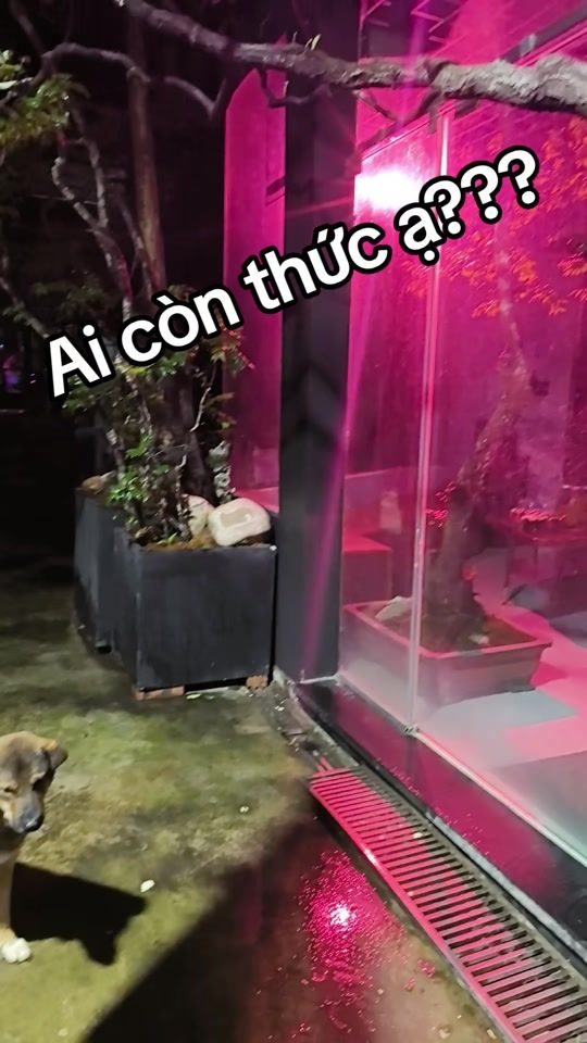 TikTok video thumbnail by t.a.n688