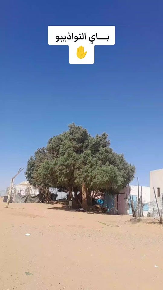 TikTok video thumbnail by ahmed.val44