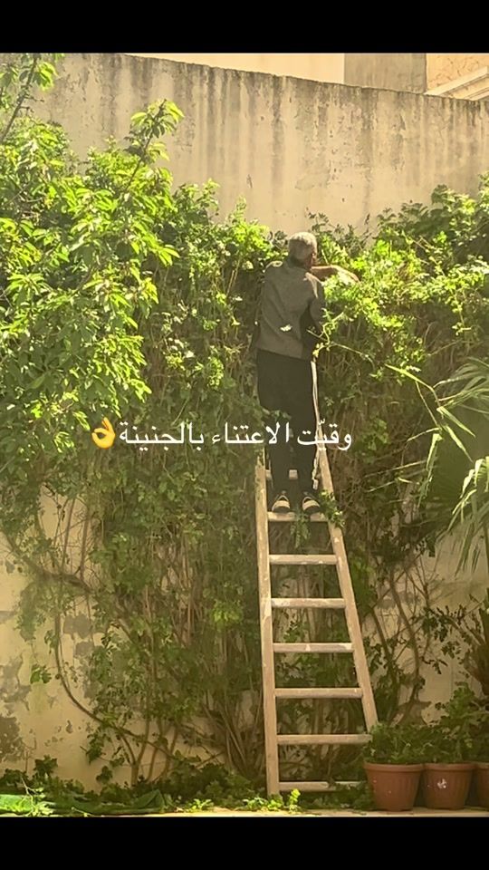 TikTok video thumbnail by ines_amri_