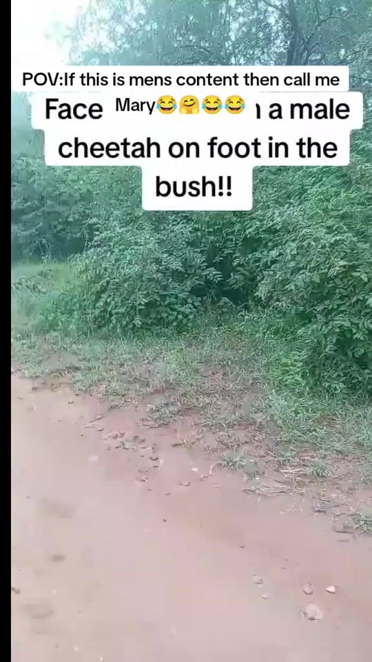 TikTok video thumbnail by master.edits765