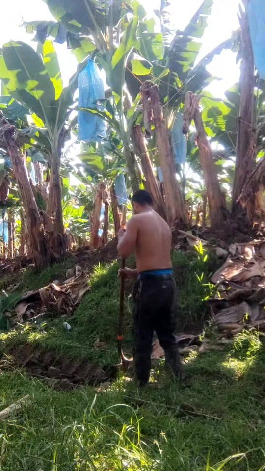 TikTok video thumbnail by marcelo.lopez.pineda