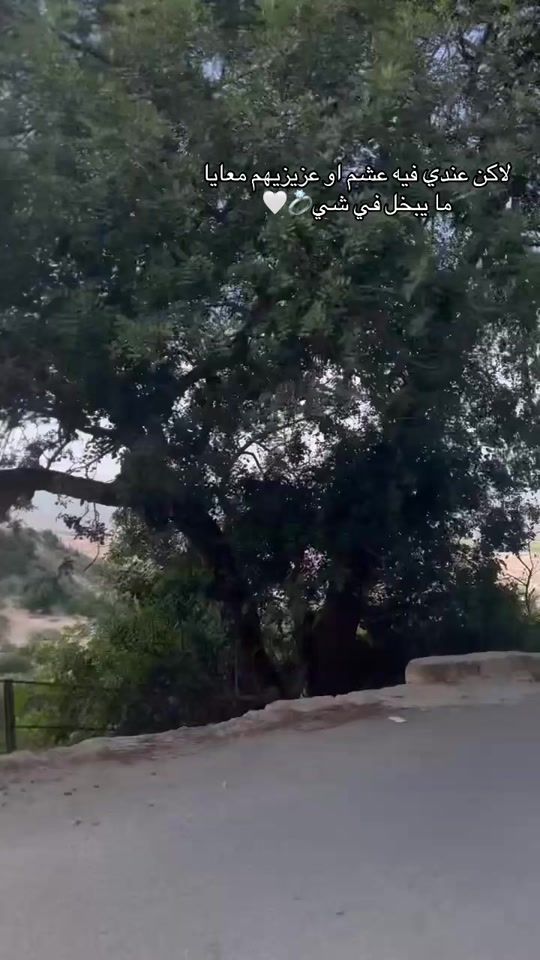 TikTok video thumbnail by dyspg7tvyw5q