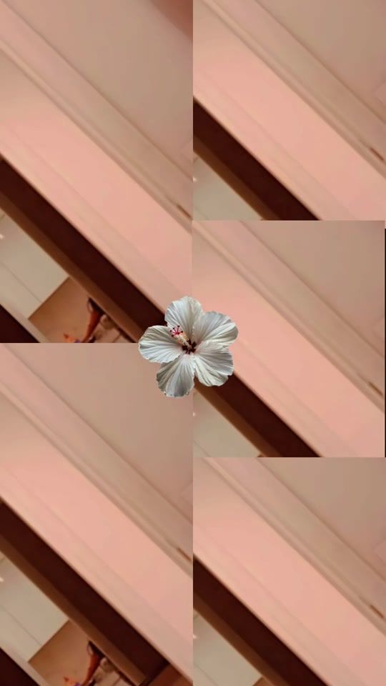 TikTok video thumbnail by mimo48395