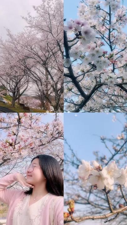 TikTok video thumbnail by thiri33661