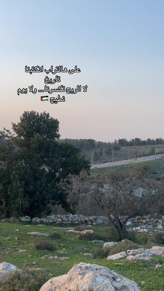 TikTok video thumbnail by dawlat340