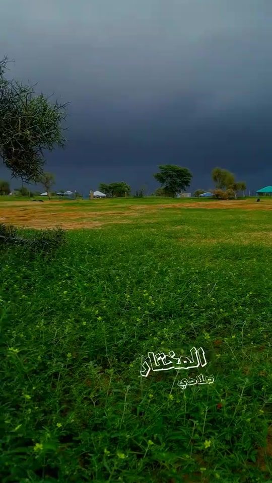 TikTok video thumbnail by chekhna6