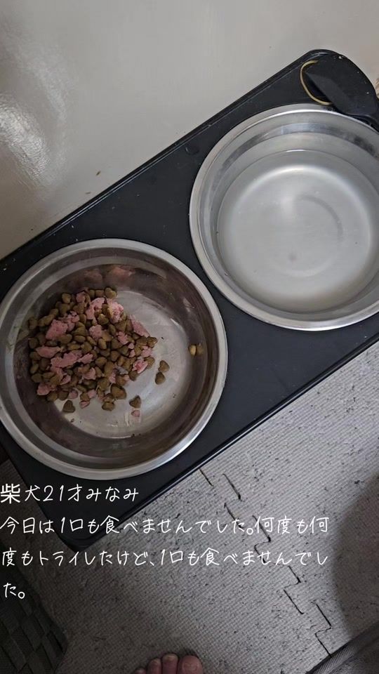 TikTok video thumbnail by powerful.keiko