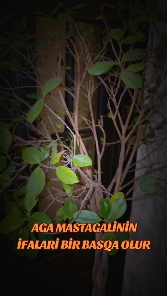 TikTok video thumbnail by sairinfanati