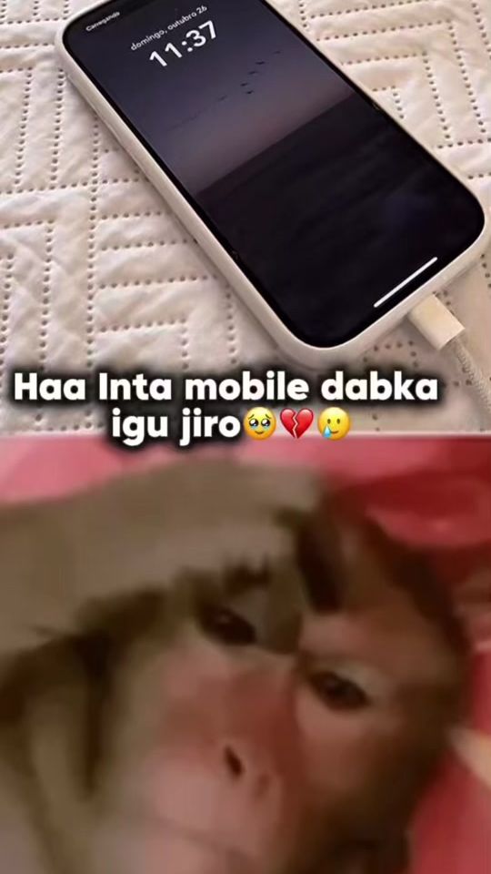 TikTok video thumbnail by dhool_editor