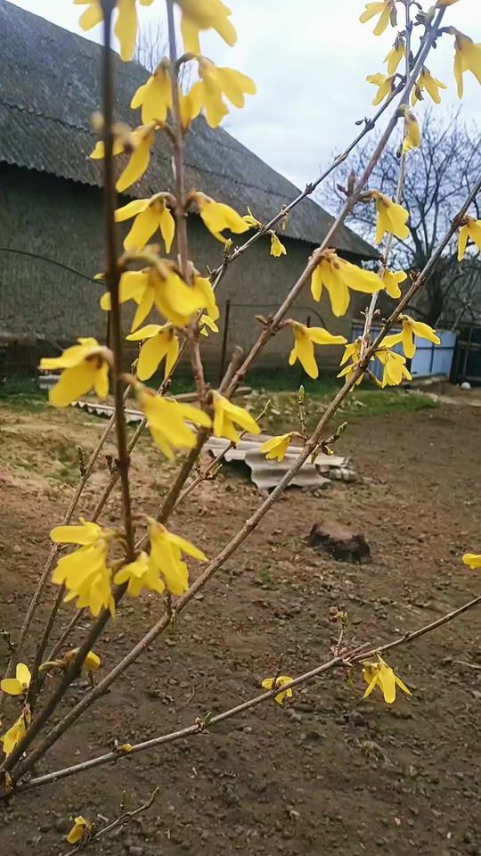 TikTok video thumbnail by marina_mary45