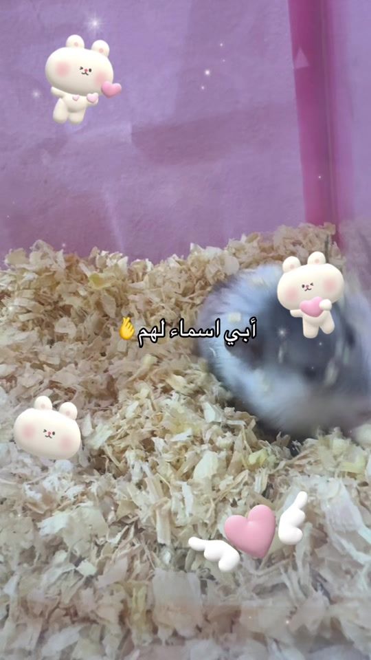 TikTok video thumbnail by memo_coquette