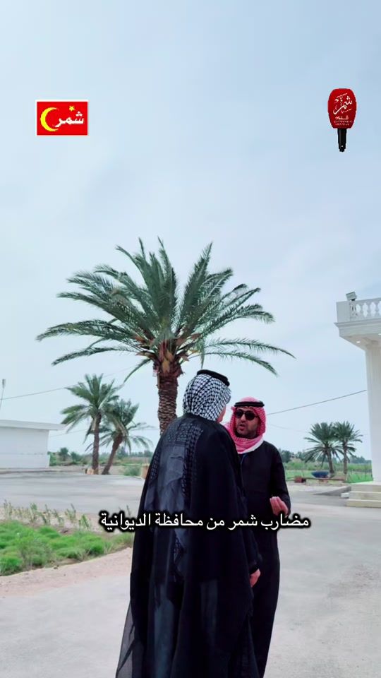 TikTok video thumbnail by usershmdfg