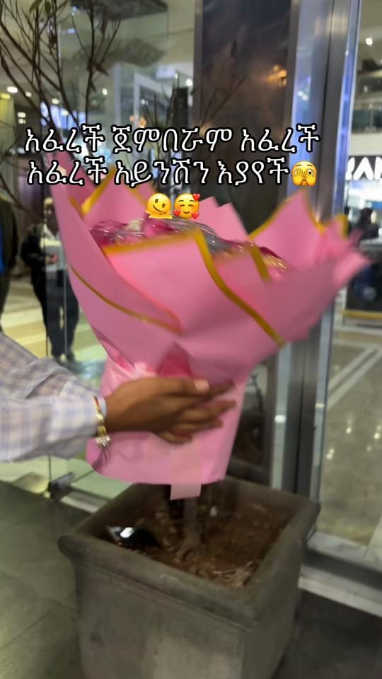 TikTok video thumbnail by giftadiss