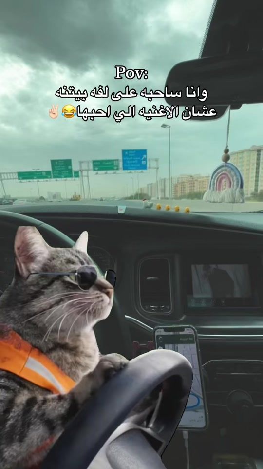 TikTok video thumbnail by alkamees93