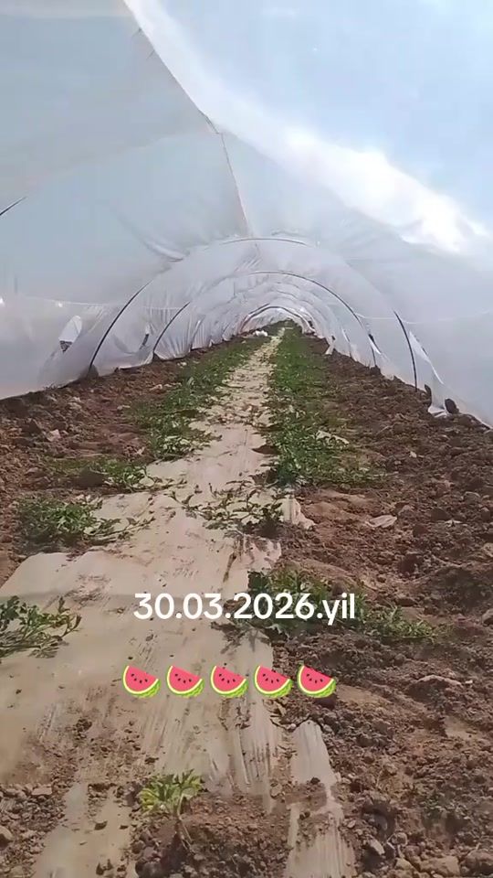 TikTok video thumbnail by jasur27440
