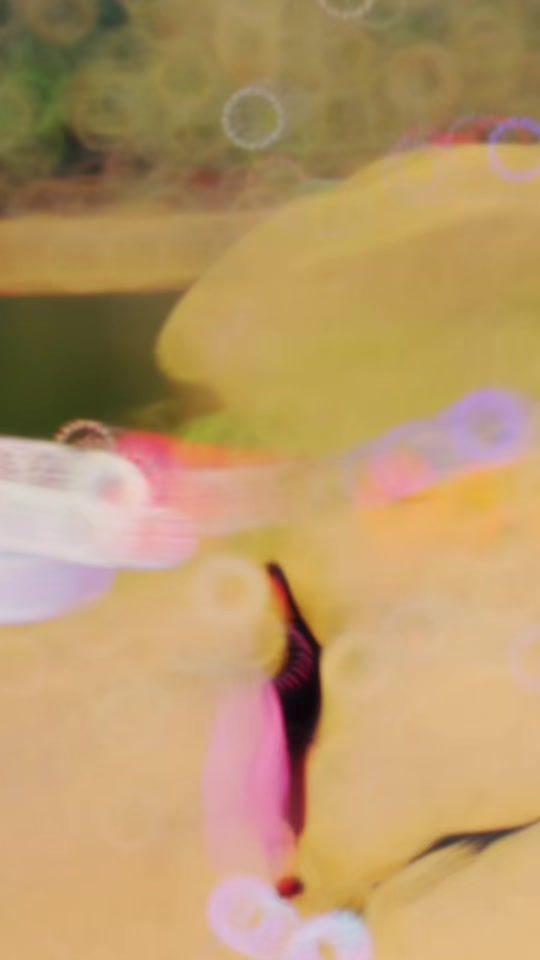 TikTok video thumbnail by fairy_sanuofficial