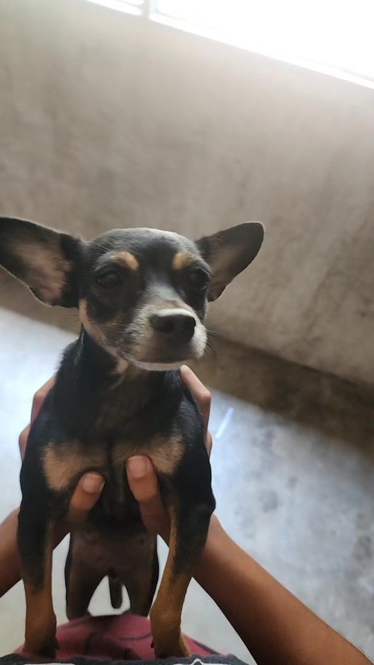 TikTok video thumbnail by dayann501