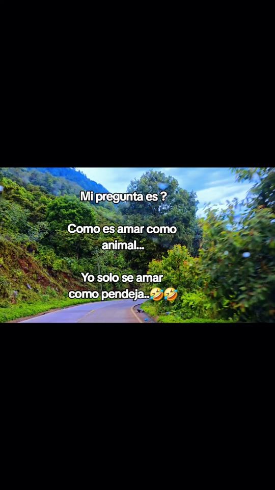 TikTok video thumbnail by lachinitadeleon