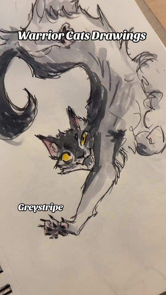TikTok video thumbnail by professional.jellybean
